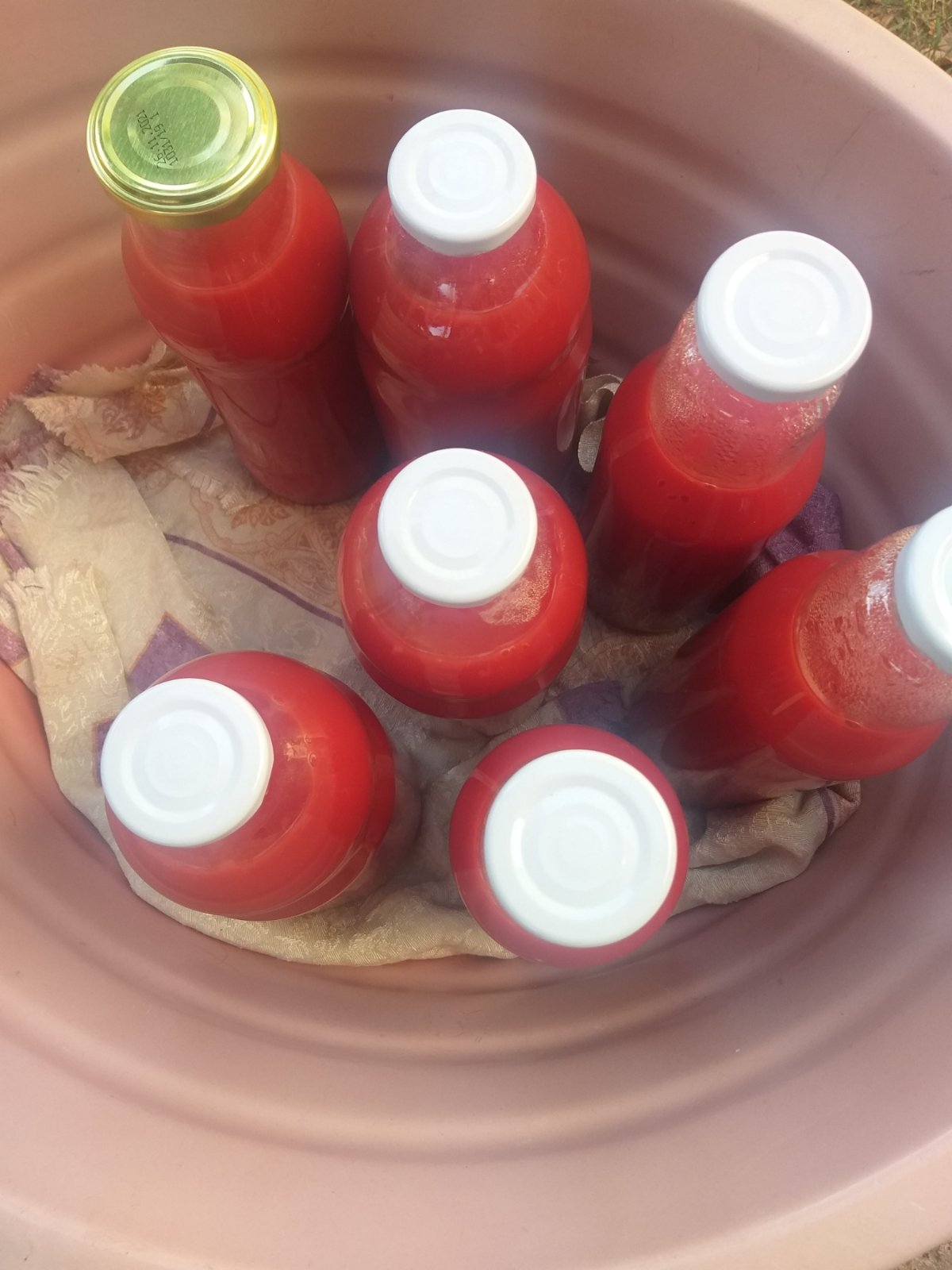 Kečap od organskog paradajza