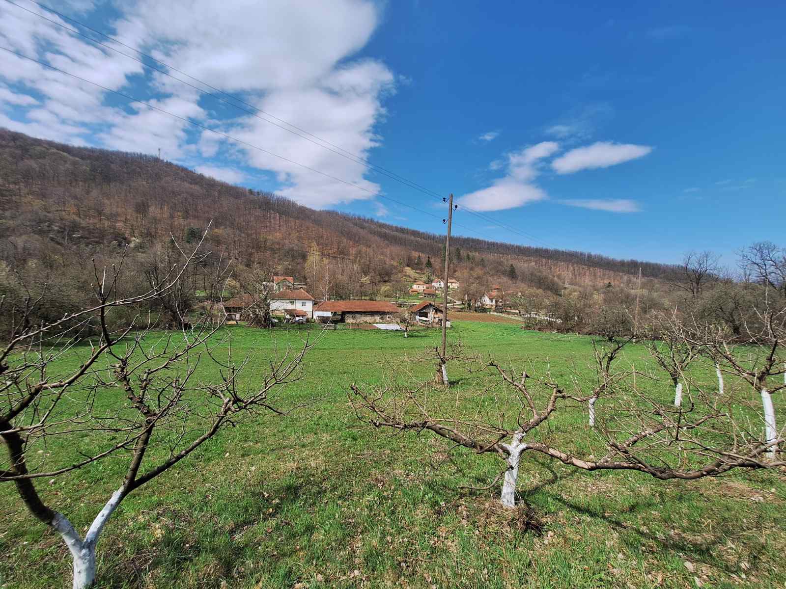 Okolina - opšti pogled